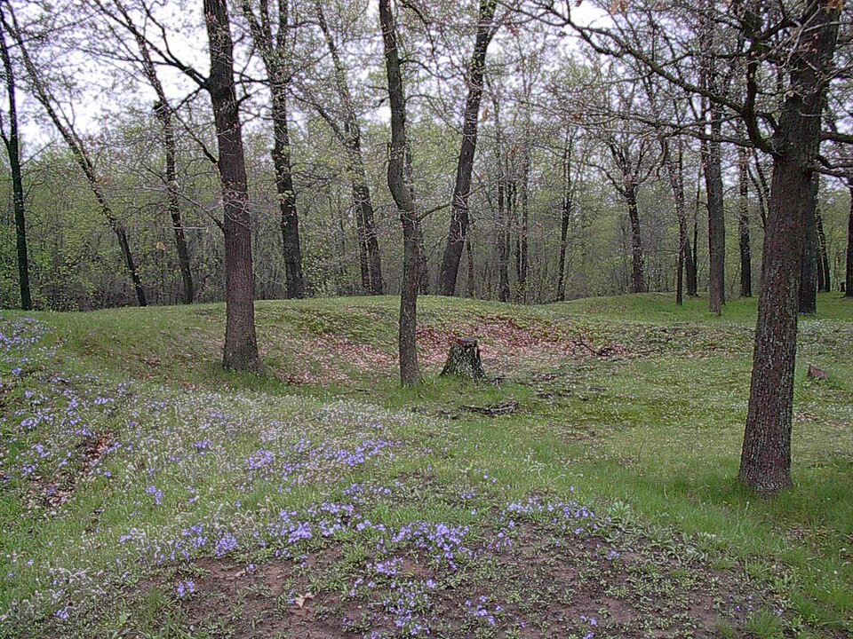 Gee's Slough Mound Group, Juneau County, Wisconsin