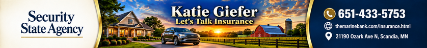 Security State Agency — Katie Giefer premium banner advertisement