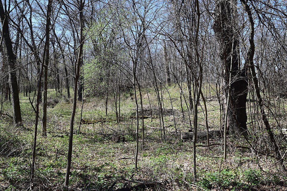 Bloyer Mound Group, Richland County, Wisconsin