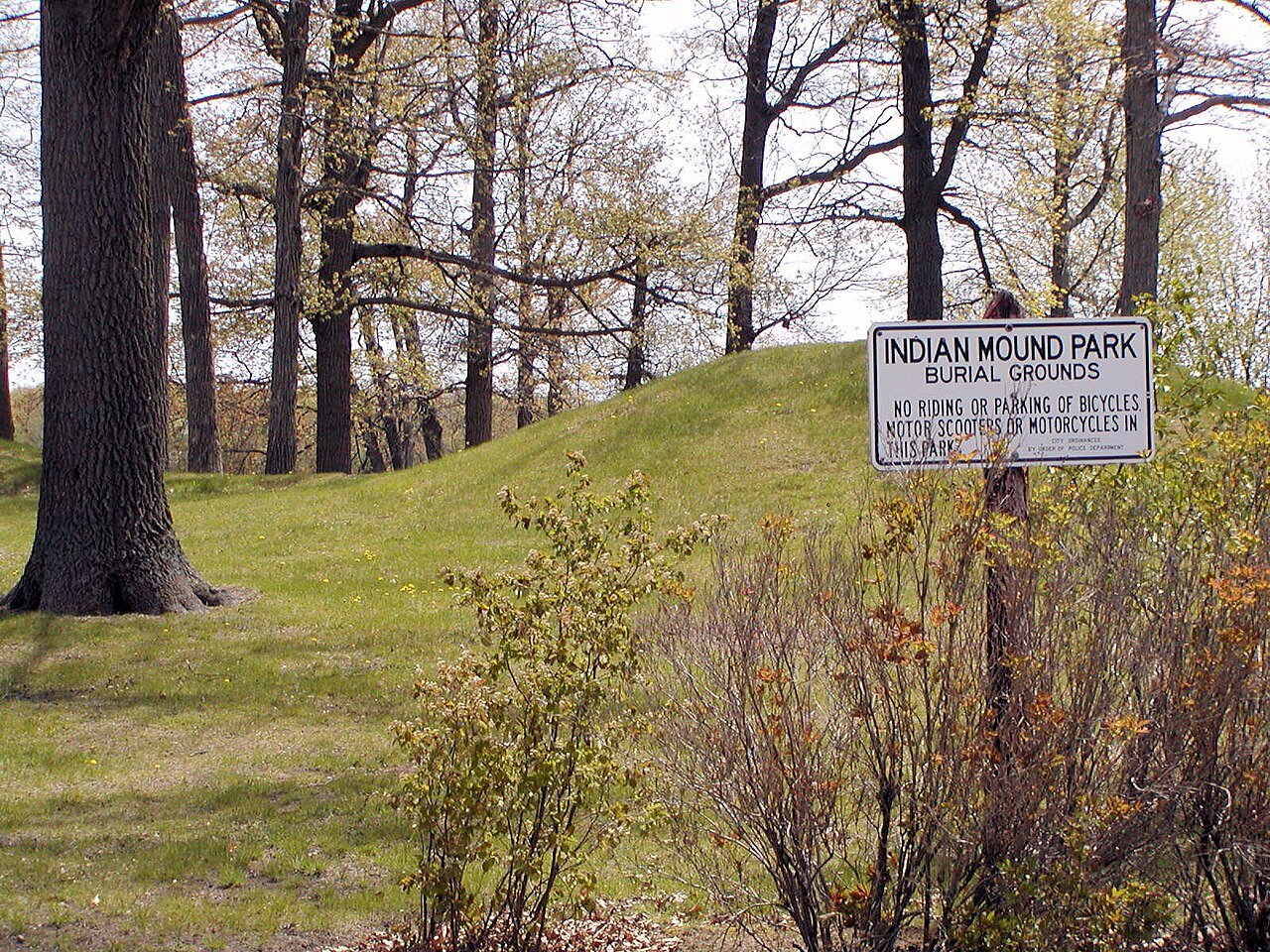 Rice Lake Mounds (47 BN-90), Barron County, Wisconsin